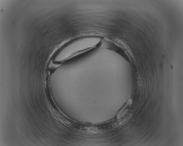 X0000084020395200703161745