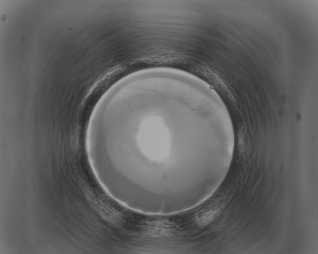 X0000084020396200703161745