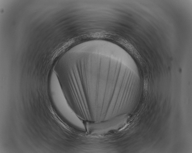 X0000084020397200703161745