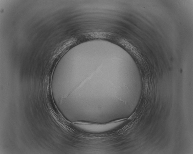 X0000084020398200703161745