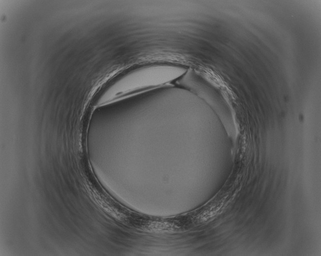 X0000084020399200703161745