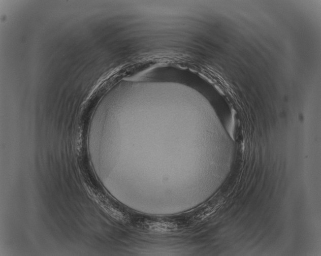 X0000084020400200703161745