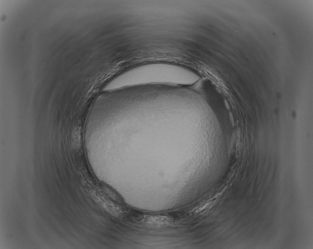 X0000084020401200703161745