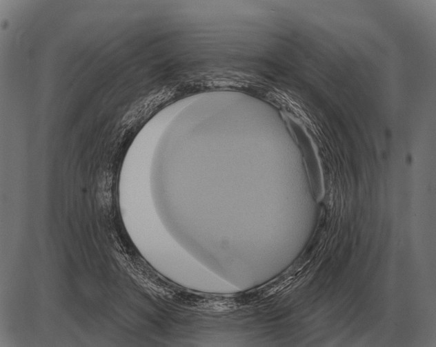 X0000084020402200703161745