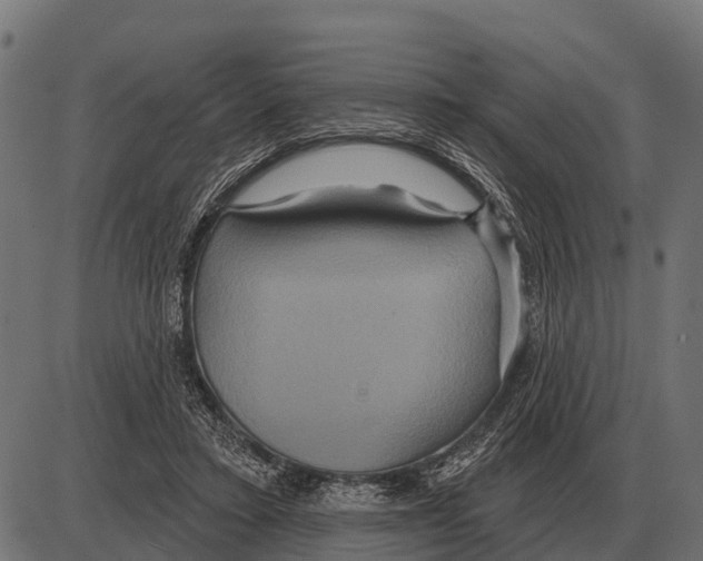 X0000084020403200703161745