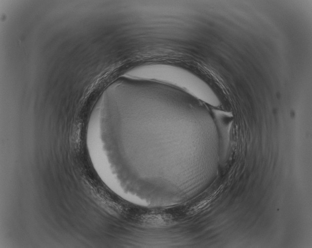 X0000084020404200703161745