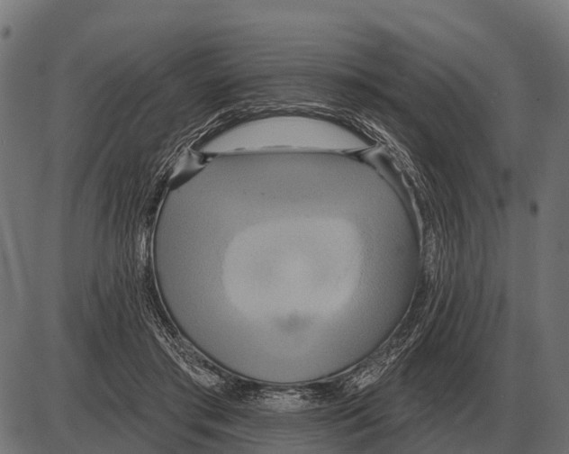 X0000084020405200703161745