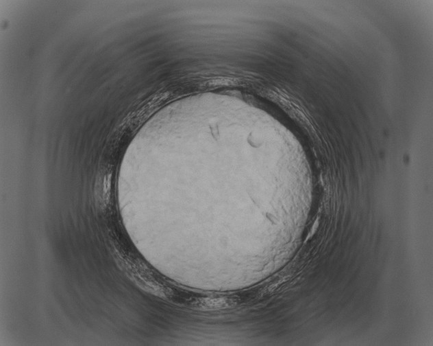 X0000084020406200703161744