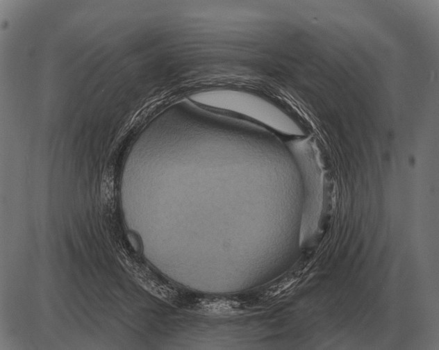 X0000084020407200703161744