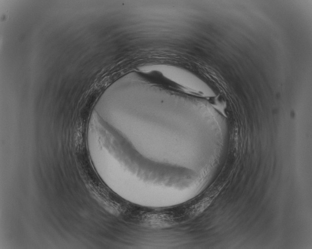 X0000084020408200703161744