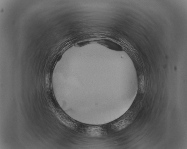 X0000084020410200703161744