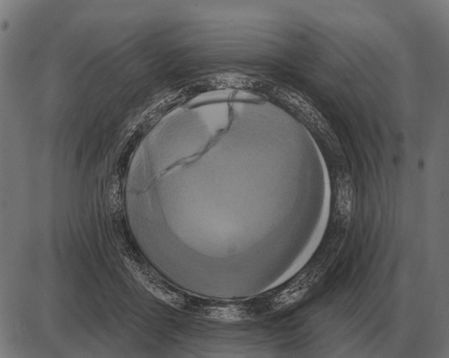 X0000084020411200703161744