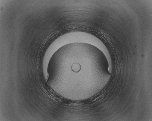 X0000084020412200703161744