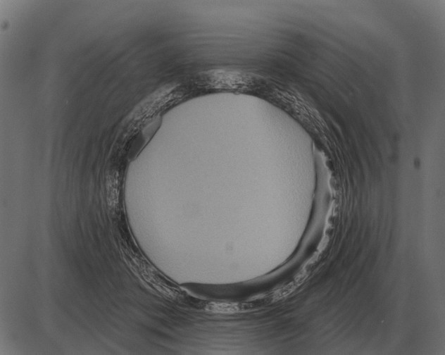 X0000084020413200703161744