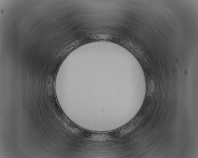 X0000084020414200703161744