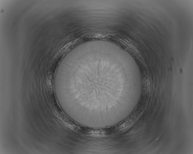 X0000084020415200703161744