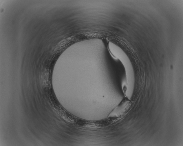 X0000084020416200703161744