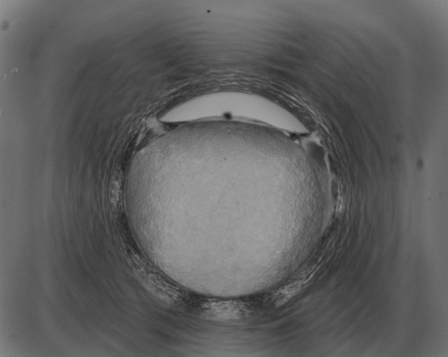 X0000084020417200703161744