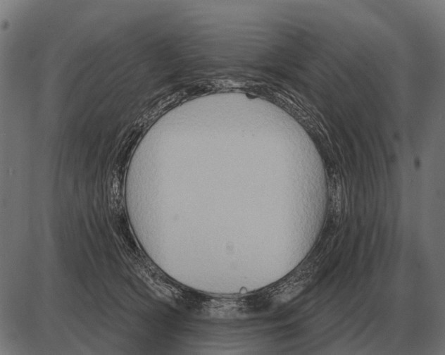 X0000084020418200703161744