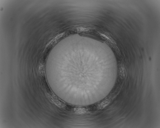 X0000084020419200703161744