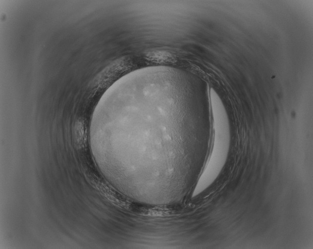 X0000084020420200703161744