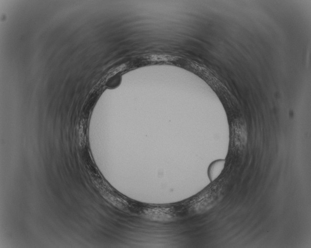 X0000084020422200703161744