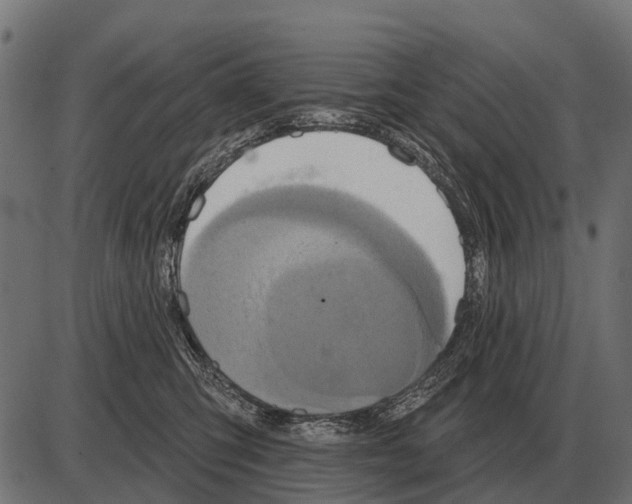 X0000084020423200703161744