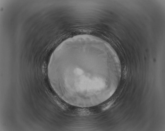 X0000084020424200703161744