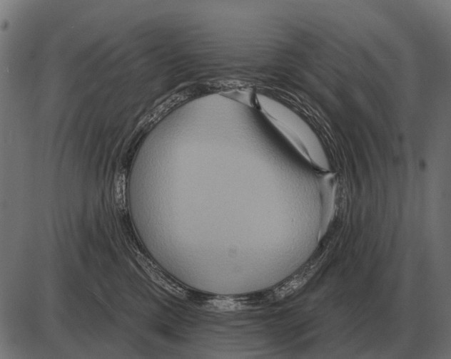 X0000084020425200703161744