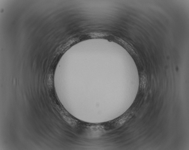 X0000084020426200703161744