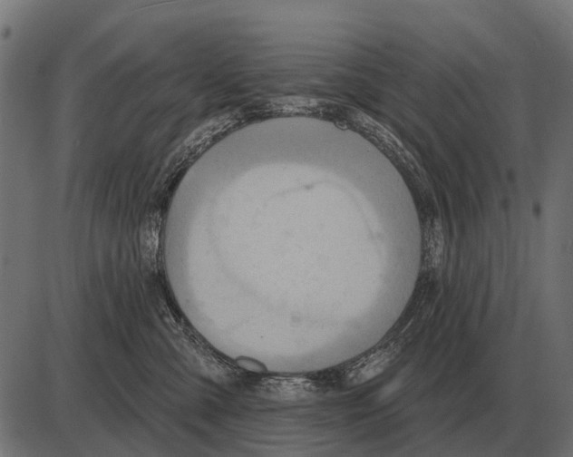 X0000084020427200703161744