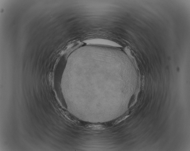 X0000084020428200703161744