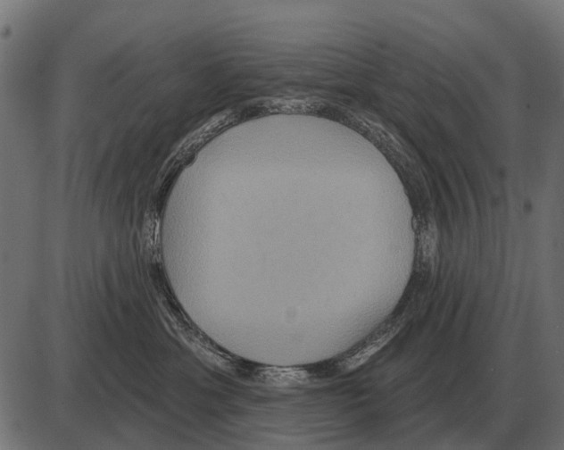 X0000084020429200703161744