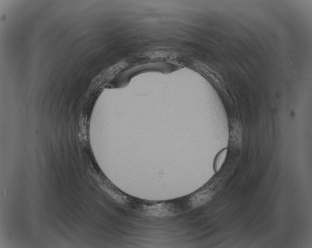 X0000084020430200703161744