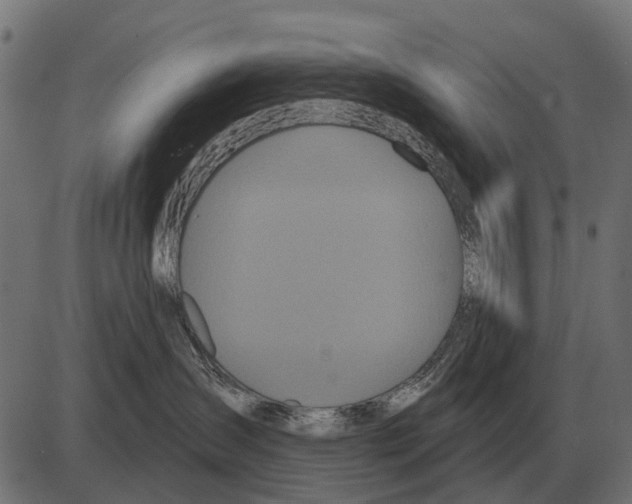 X0000084020431200703161744