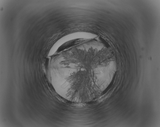 X0000084020432200703161744