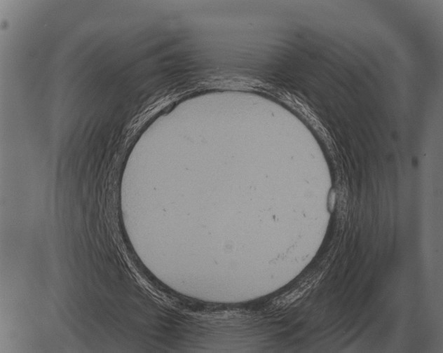 X0000084020433200703161743