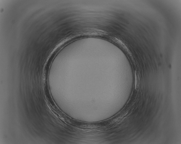 X0000084020435200703161743