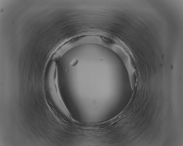 X0000084020436200703161743