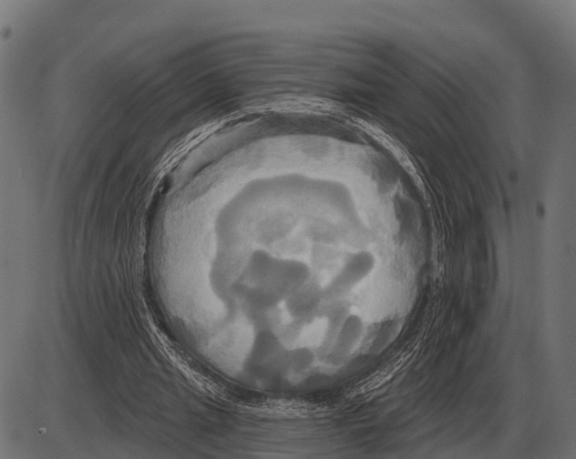 X0000084020437200703161743