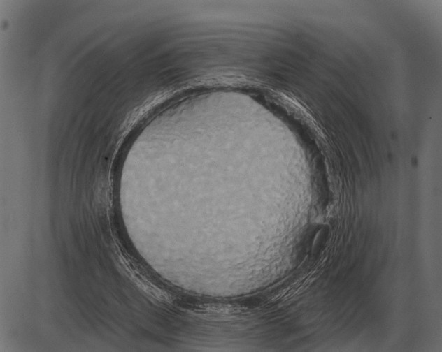 X0000084020439200703161743