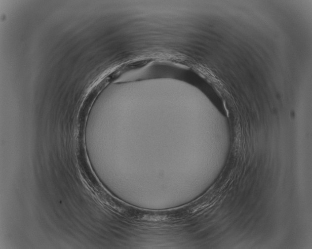 X0000084020440200703161743