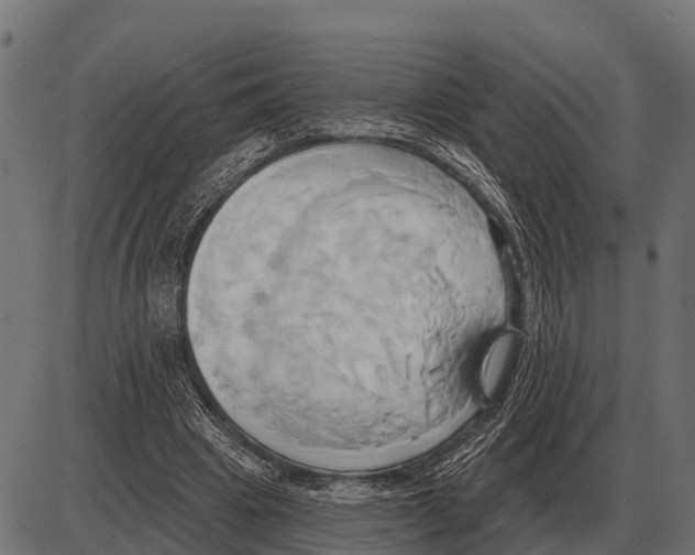 X0000084020441200703161743