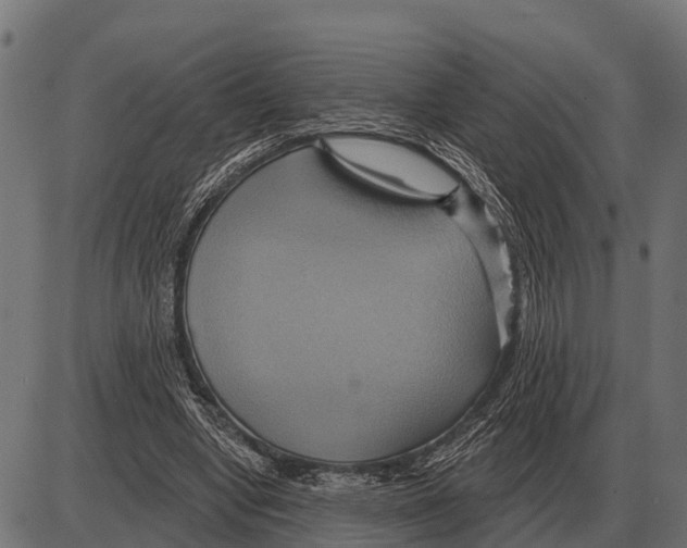 X0000084020442200703161743