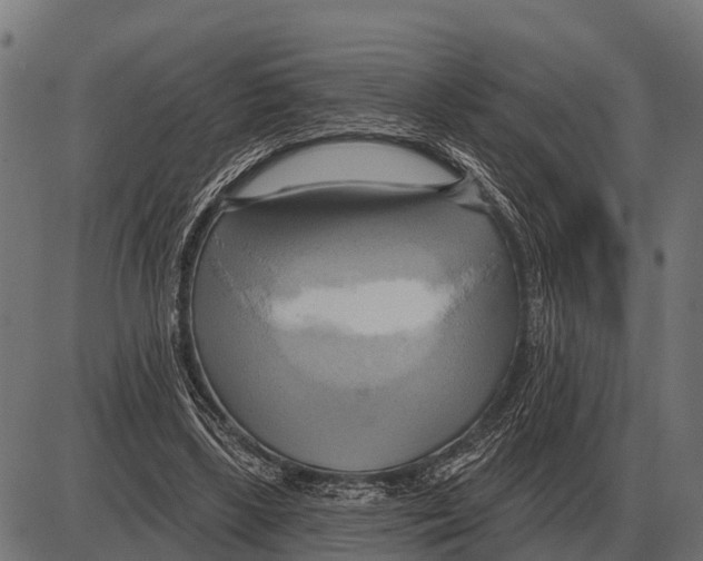 X0000084020443200703161743