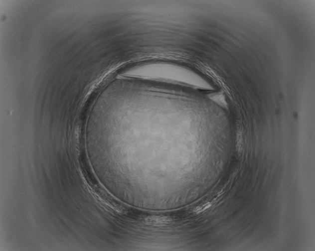 X0000084020444200703161743