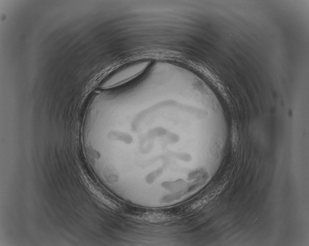 X0000084020445200703161743