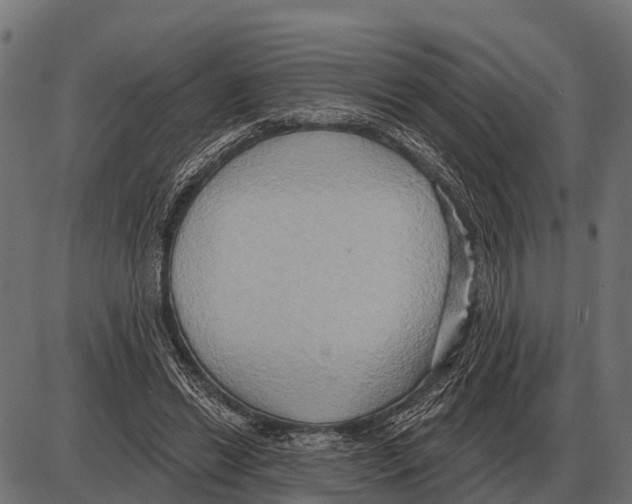 X0000084020446200703161743