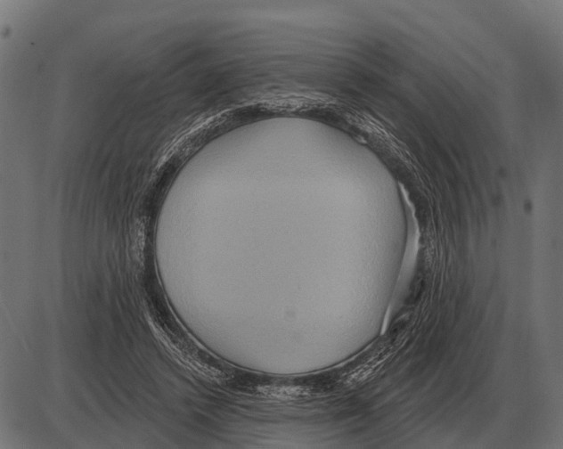 X0000084020448200703161744