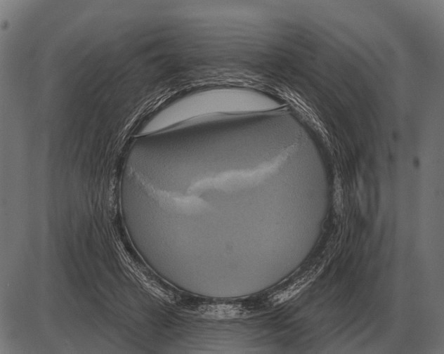 X0000084020449200703161744